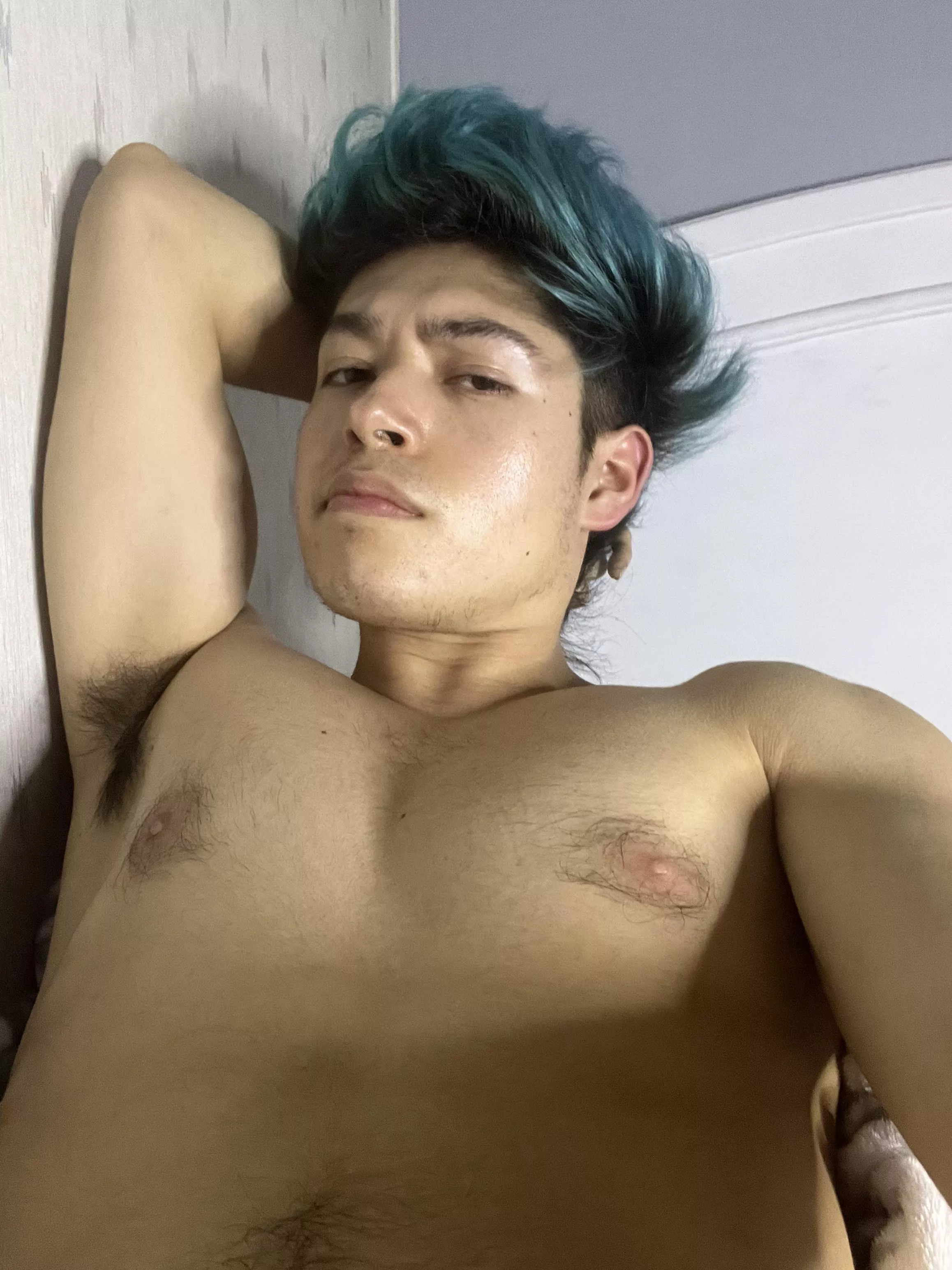 Sniff em posted by troximetal