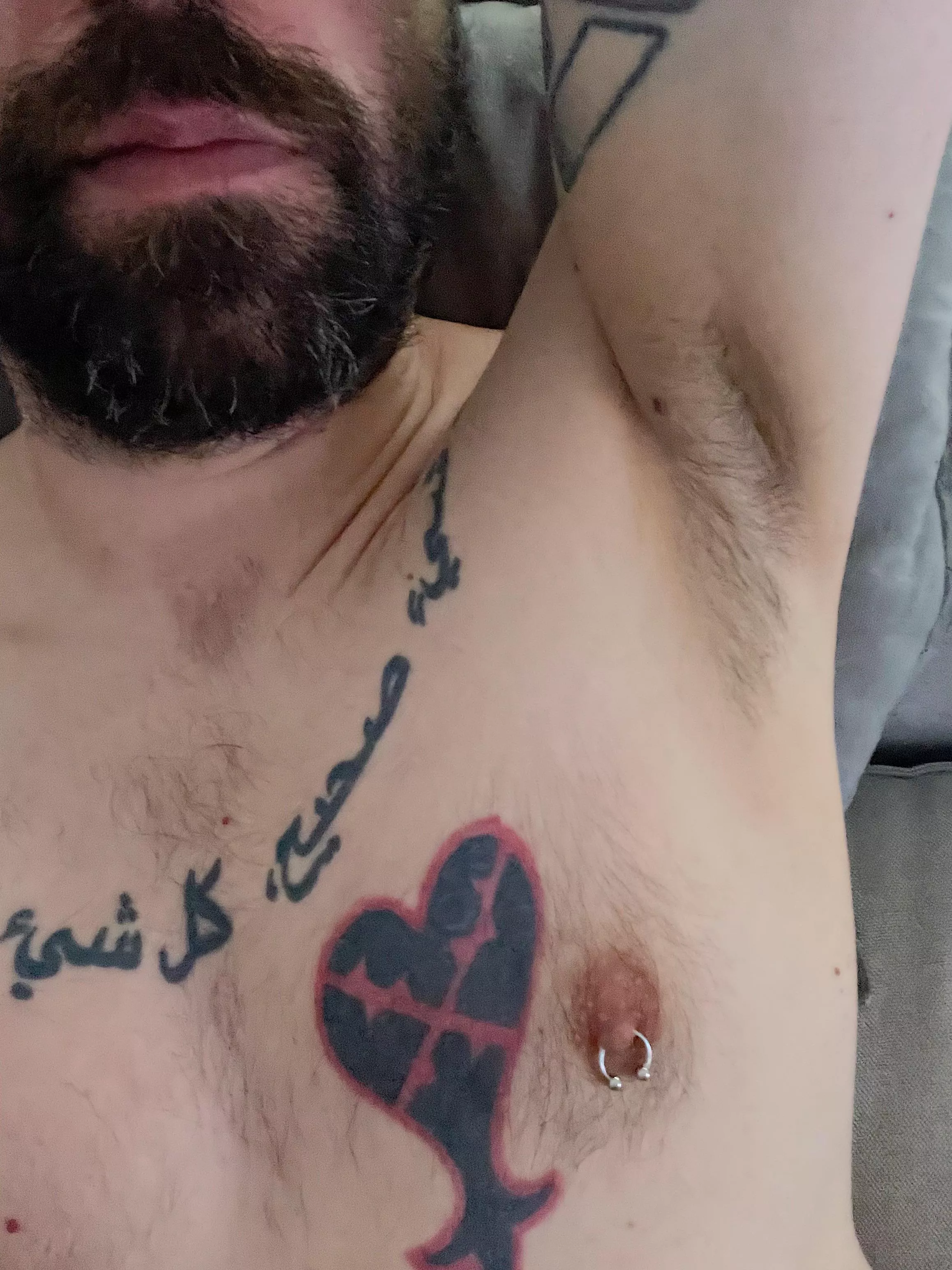 Sniff or lick? posted by alariz83