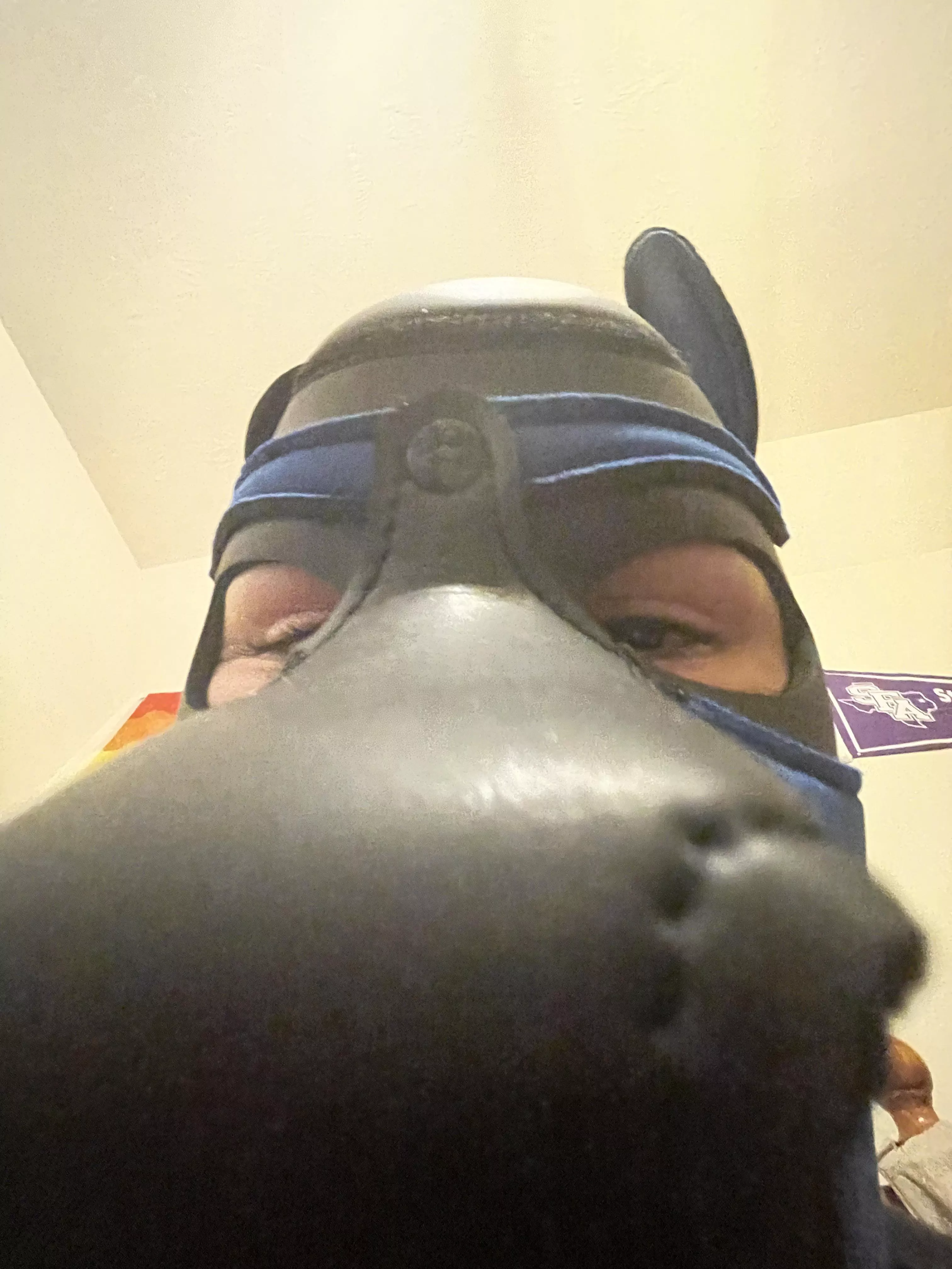 Sniff sniff posted by _whatthegay_