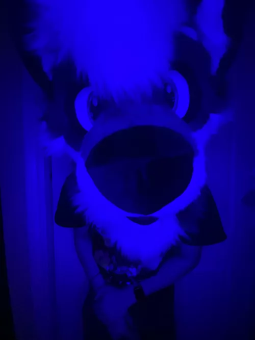 *sniff sniff* Boops are appreciated ♥️ Happy FF everyone! by Lando0-0