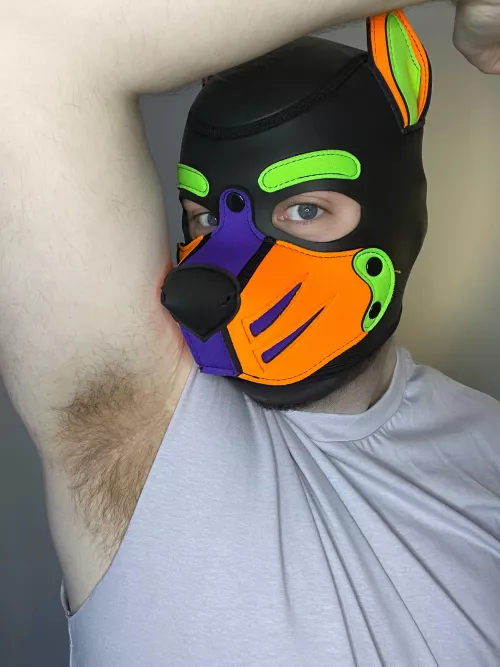 Sniff sniff? You want to? by Pupspencer