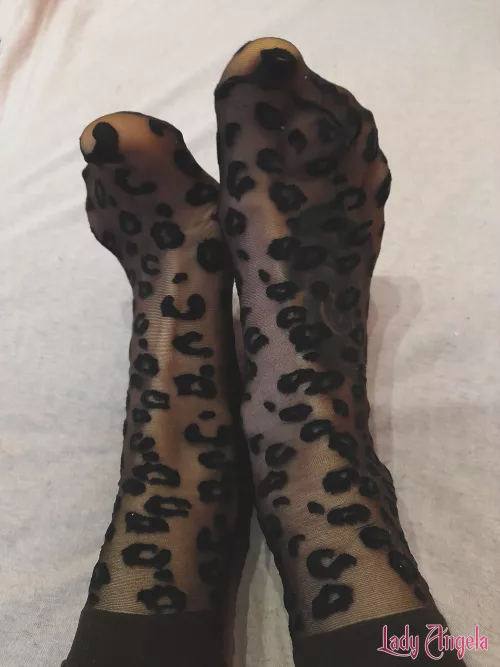 Sniff them, cause that's all you can do. I don't allow you to touch them, since you've been naughty beta. by Lady-Angela