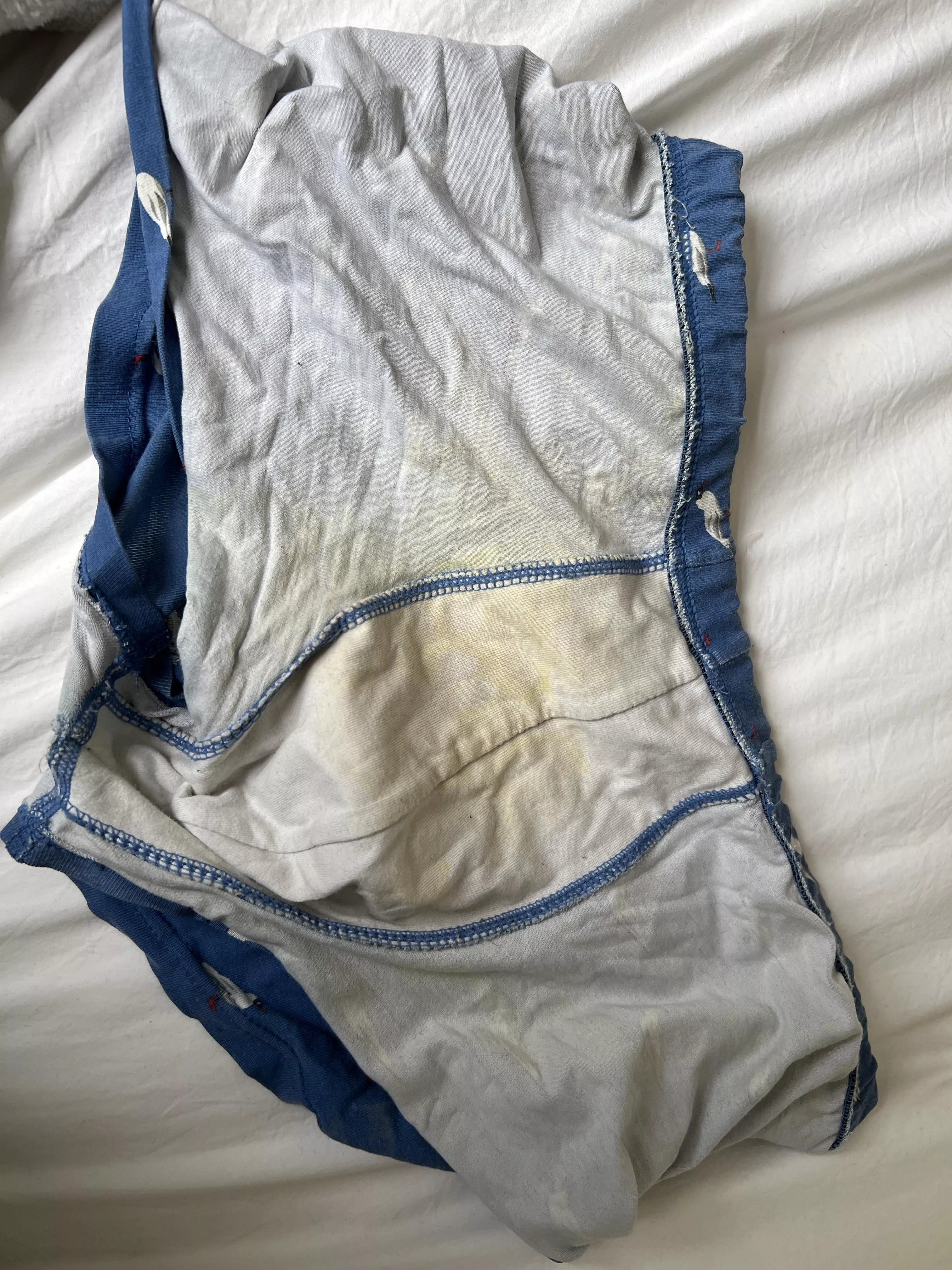 Sniff posted by AnyAlps7650