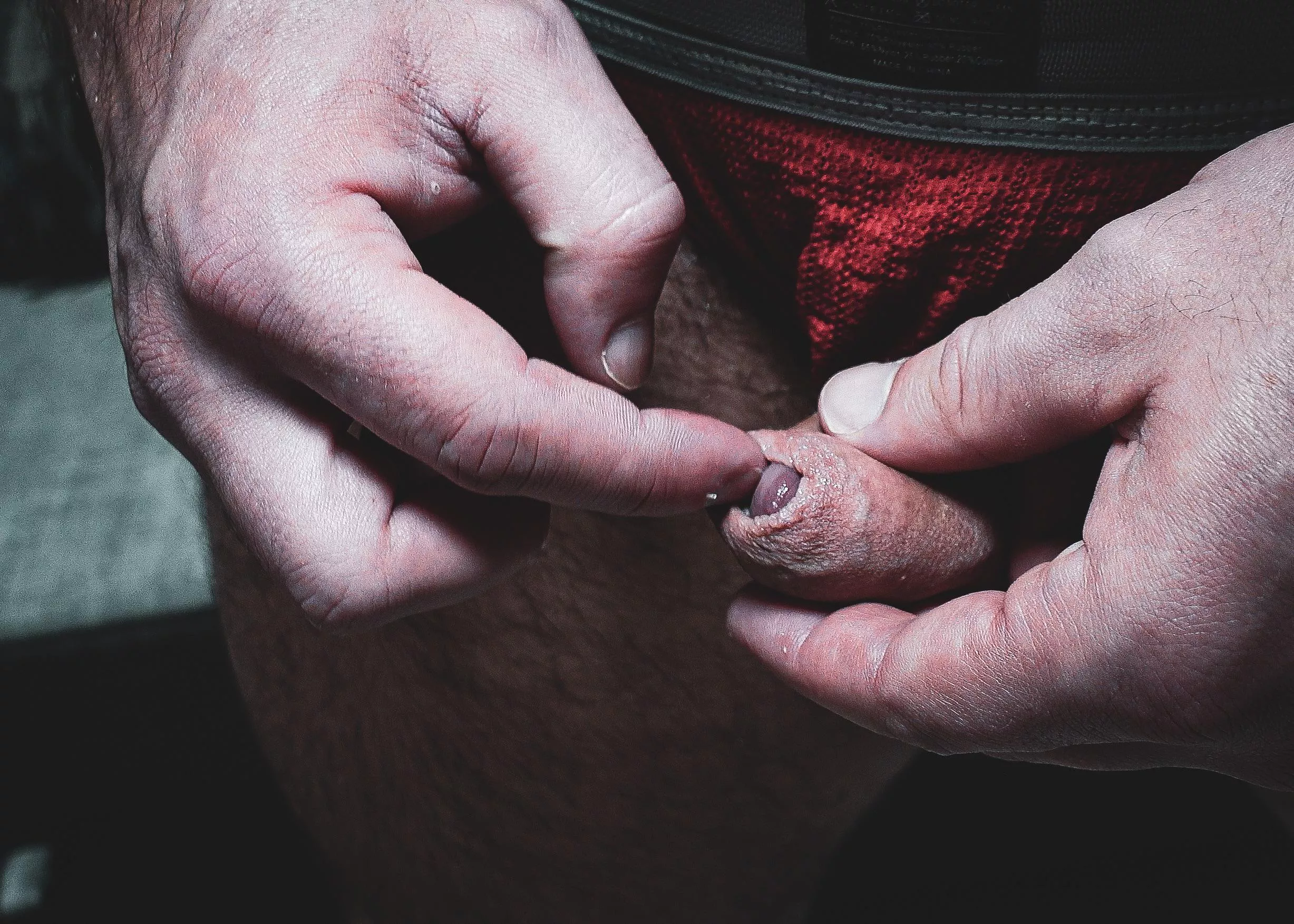 Sniffing my forey posted by kobyfalks