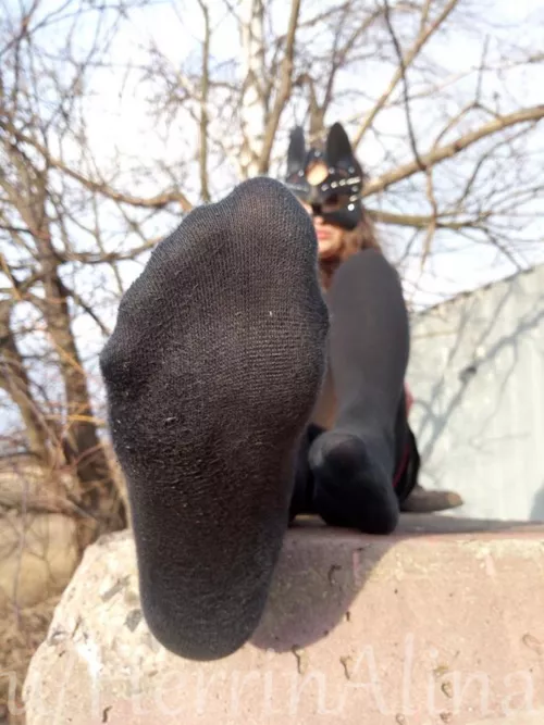 sniffing or kissing? by HerrinAlina