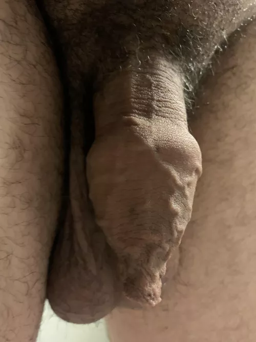 SNOUT by Psychological-Dig877