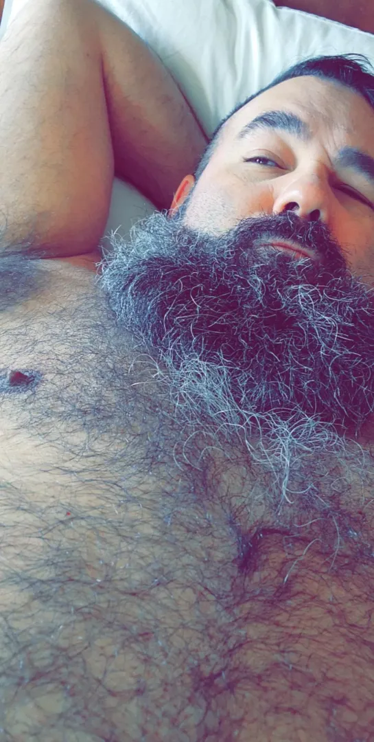 snuggle buddy applications being accepted... posted by beardguy505