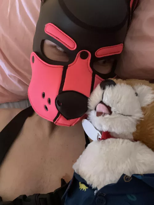 Snuggles☺️☺️ by Parkerhamm97