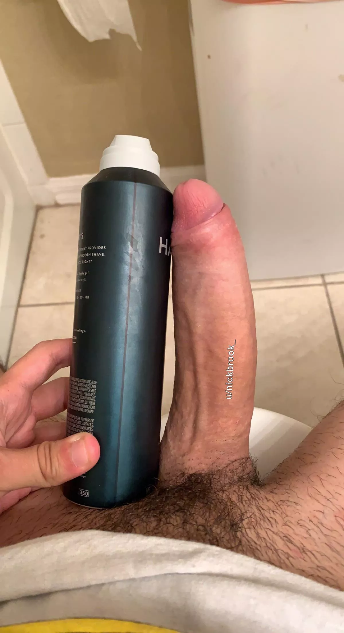 So do young cocks get love around here ? 😅 posted by nickbrook_