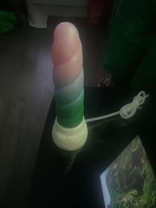 So excited and nervous!!!! Just received my M/M mystic in the mail and it’s to much bigger that I anticipated…. I have a small Rex and this seems like a big jump… any pointers? by GlobalSwimming8156