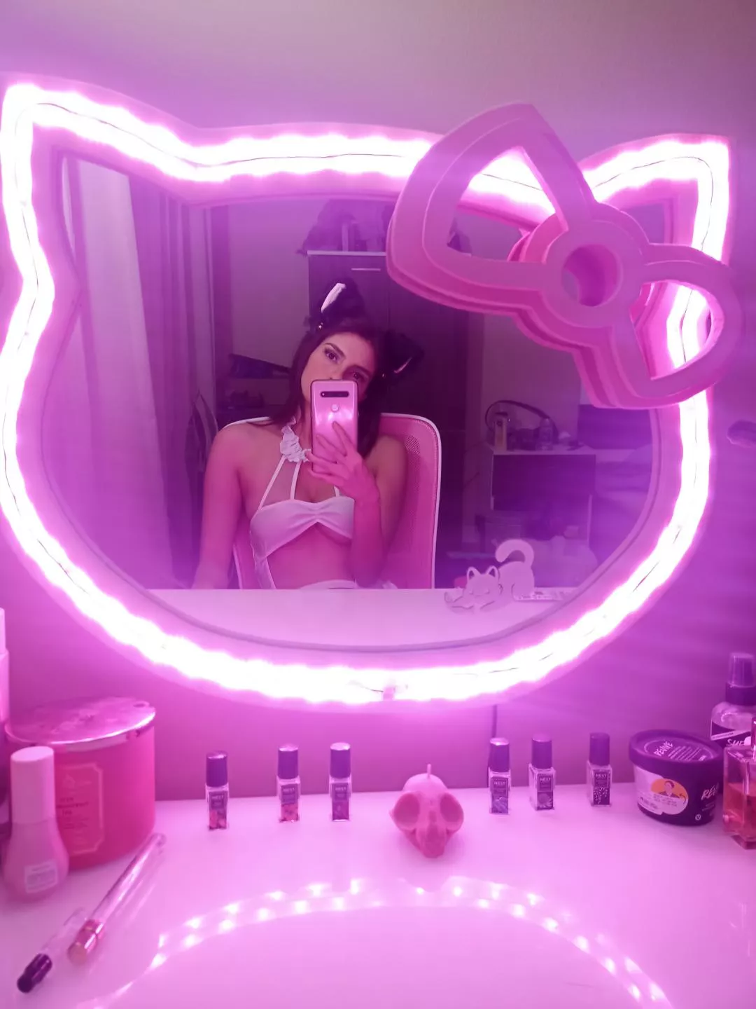 so many cats in the same picture posted by kawaiibunny666