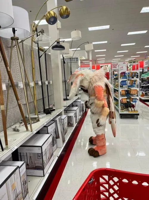 so many options... I'll take them all!!! by MortonTheMoth