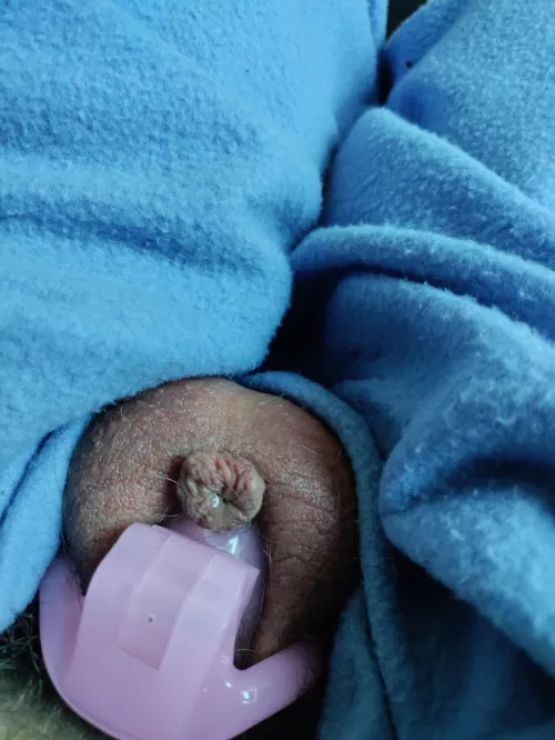 So small its disapearing but also constantly leaking by CevCon