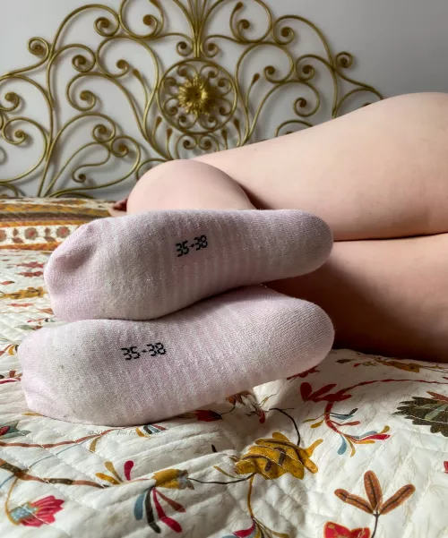 So smelly you can feel them scent right there... by footfetishtemple