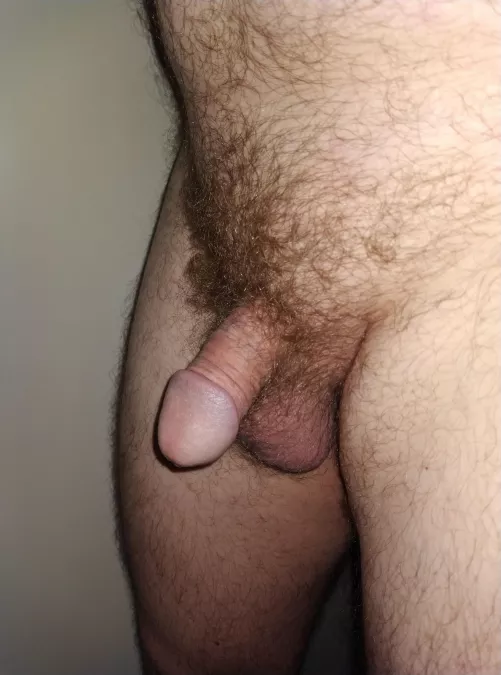 so soft right now by the_gman_au