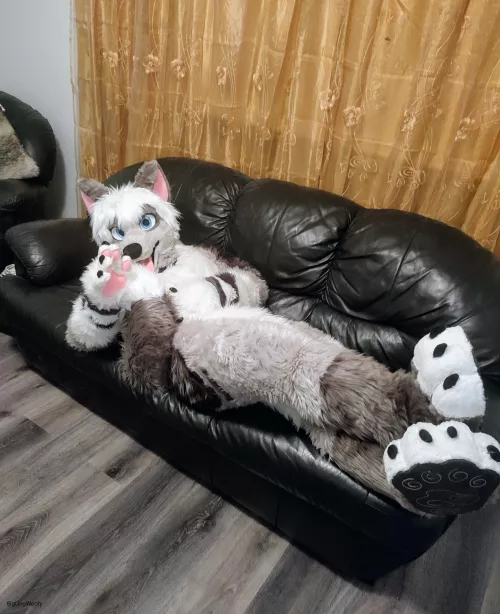 So they hired me to test out a couch, think you could help me? by Bigdogwoofy