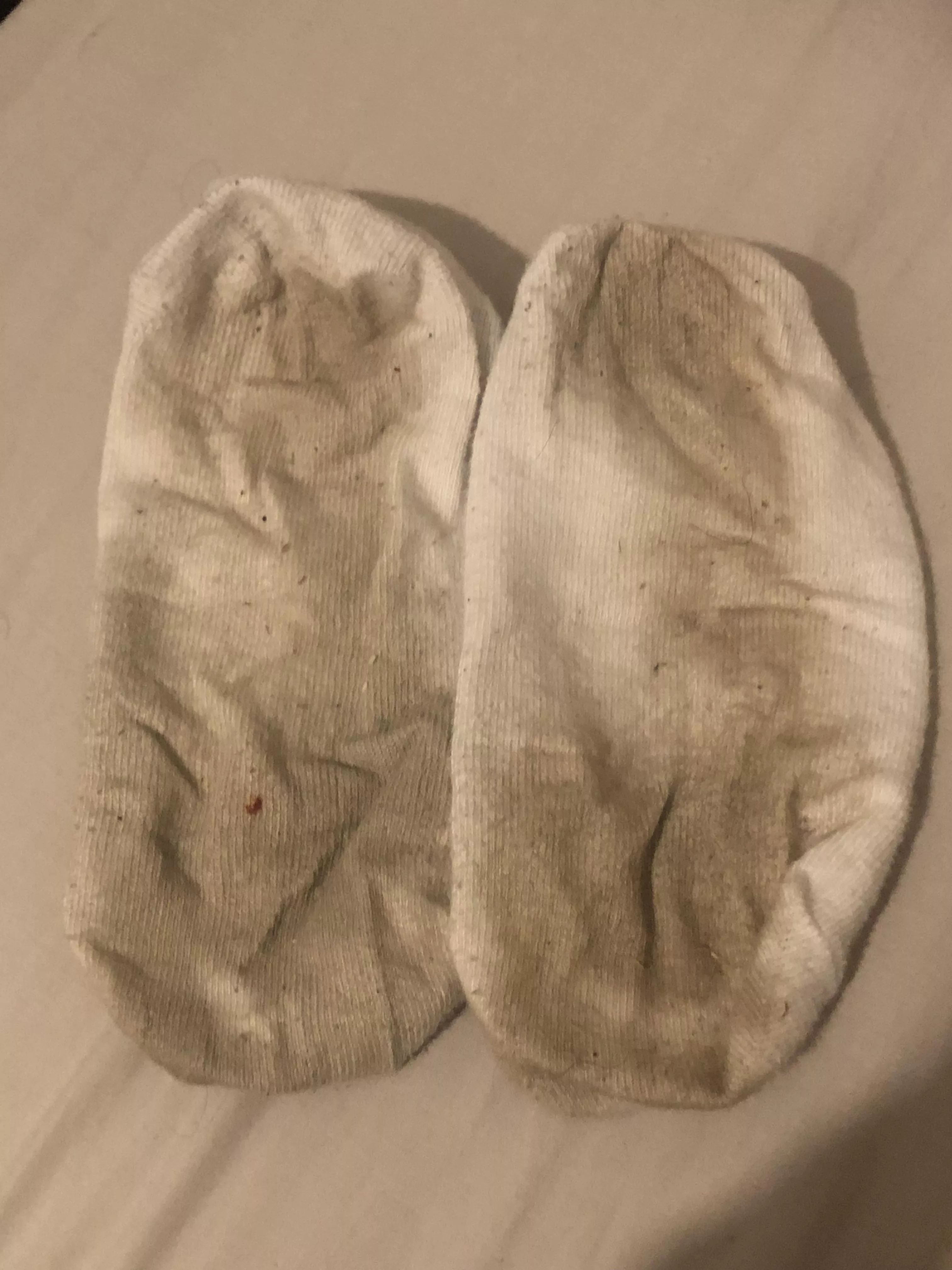 So what do you think? - DM me posted by SofiaVos