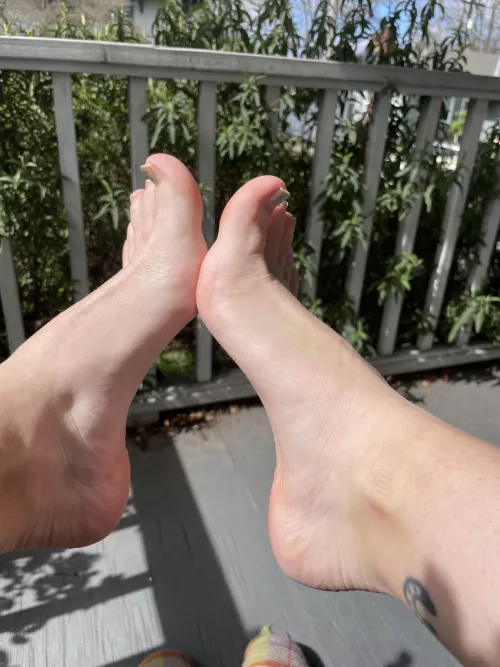 Soaking up the sun by dungeonmasternyx