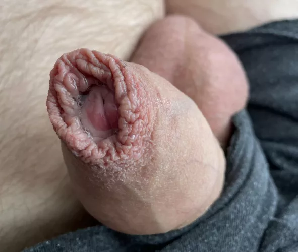 Soft and precum😋 by Appropriate_Object_2