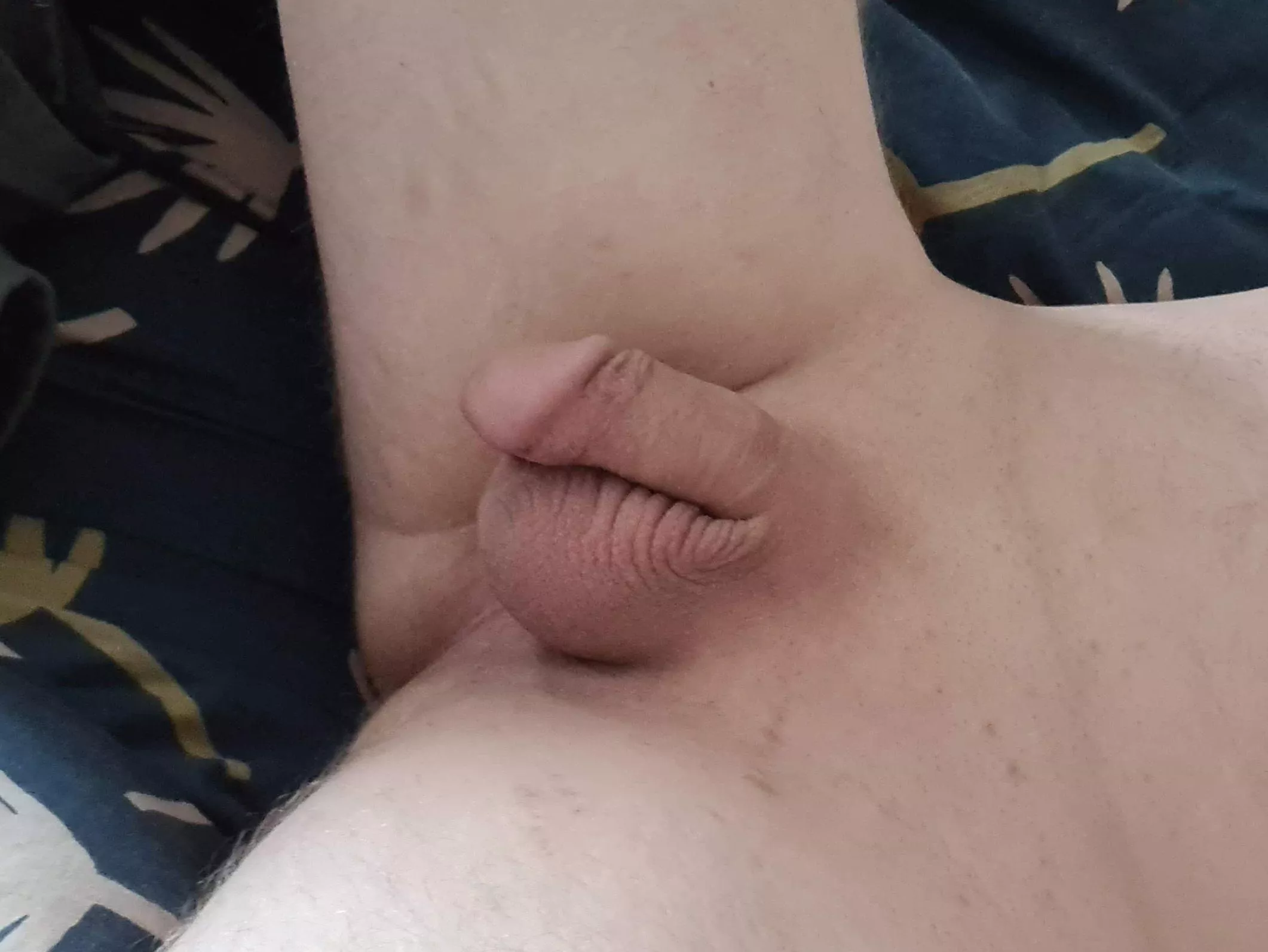 Soft dick, full balls posted by sxsdv1
