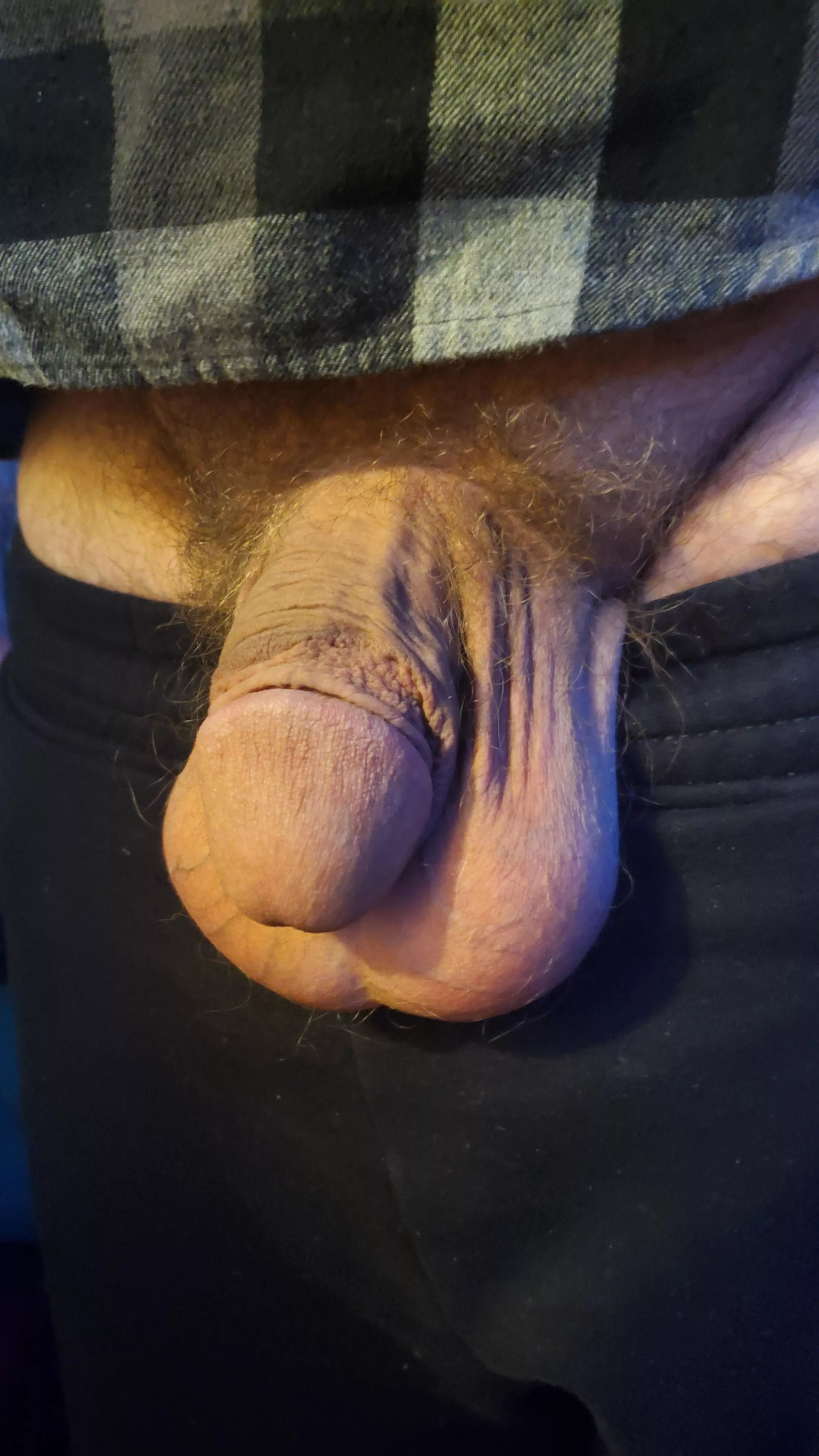 Soft dicks are underrated posted by hey_its_le0n