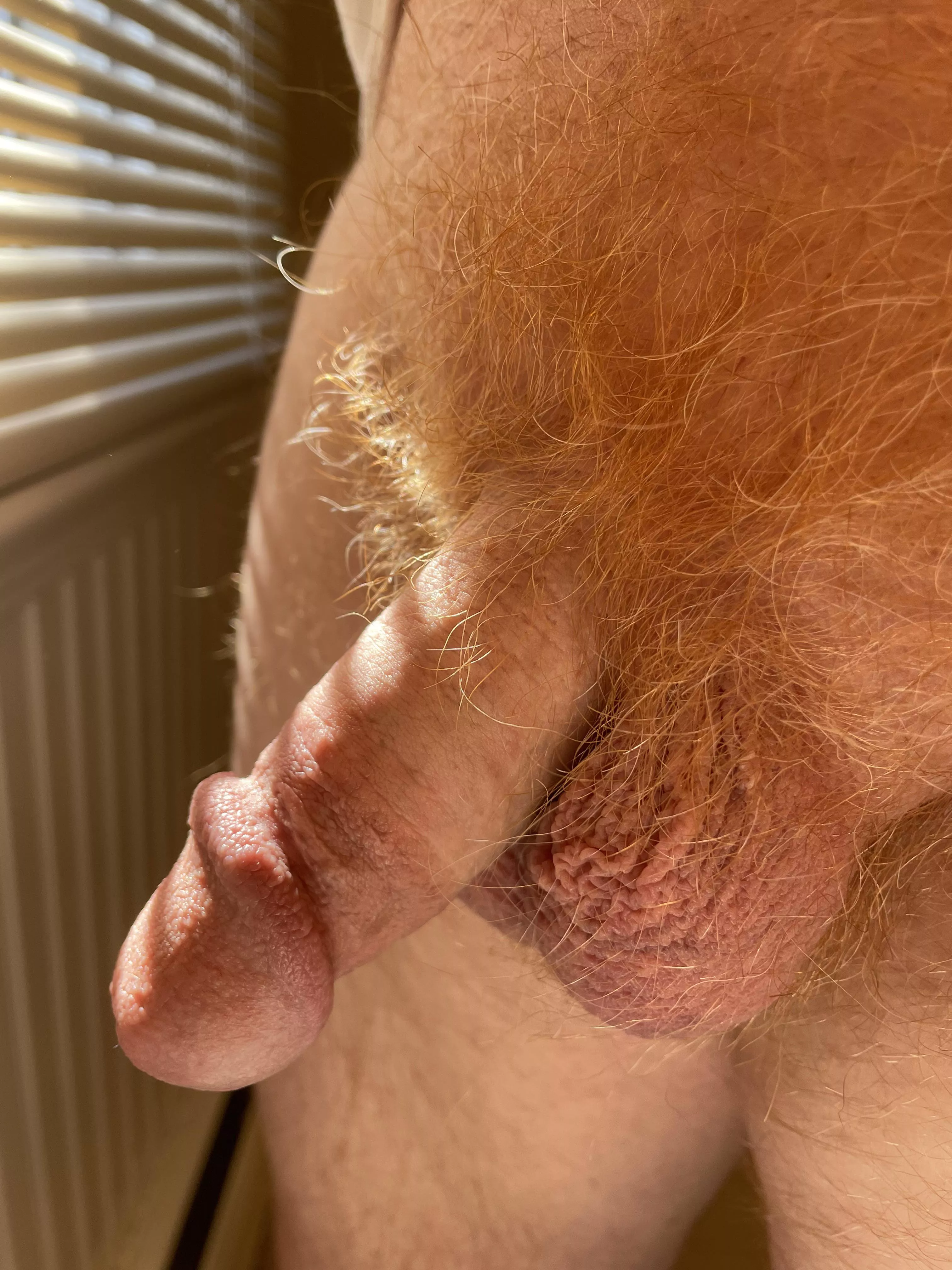 Soft in the sunlight posted by Lkggood50