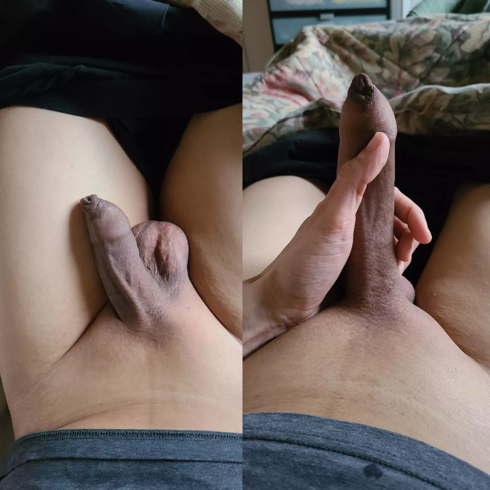 Soft or hard ... I remain covered 😂 posted by housingforu