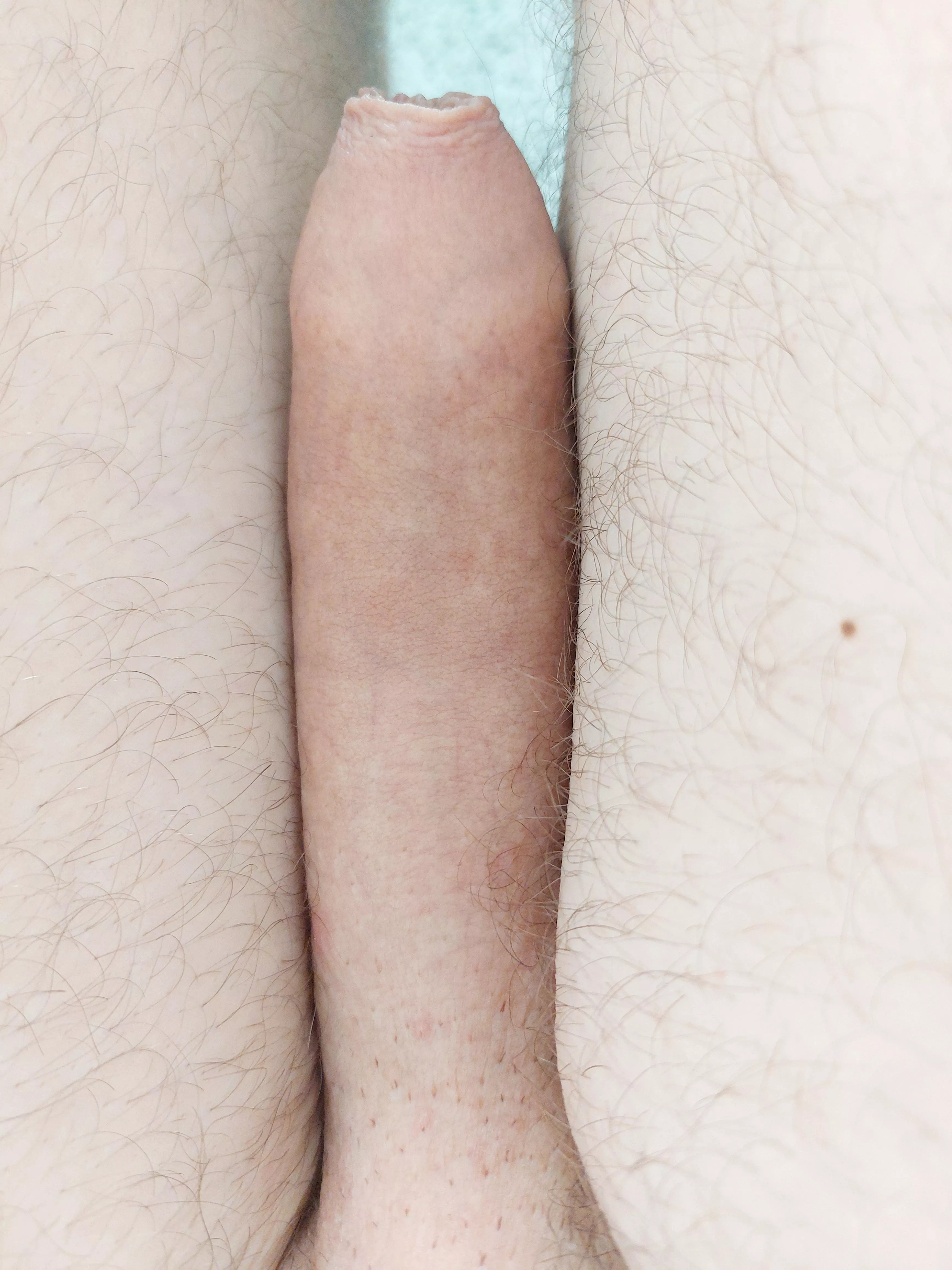 Softball bat posted by JonahEss