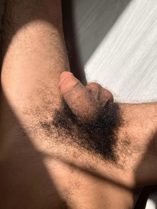 Softie ☀️ by bushyyguy