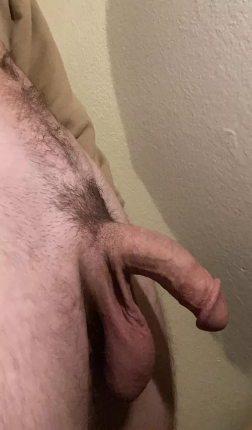 Softie for your afternoon by MrNebulc163