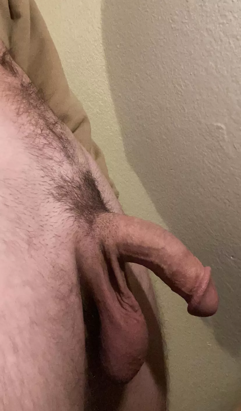 Softie for your afternoon posted by MrNebulc163