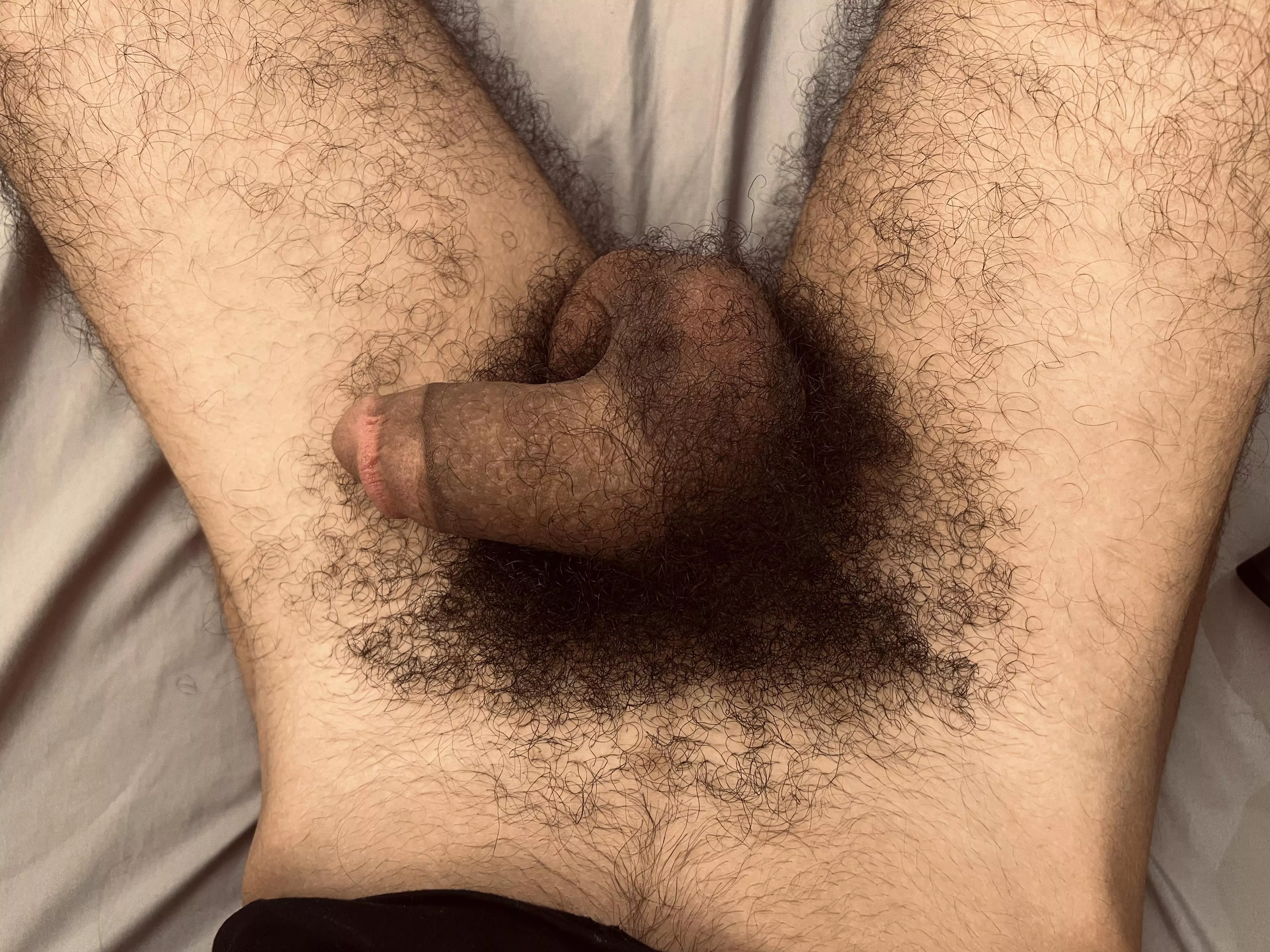 Softie with a curly bush posted by bushyyguy