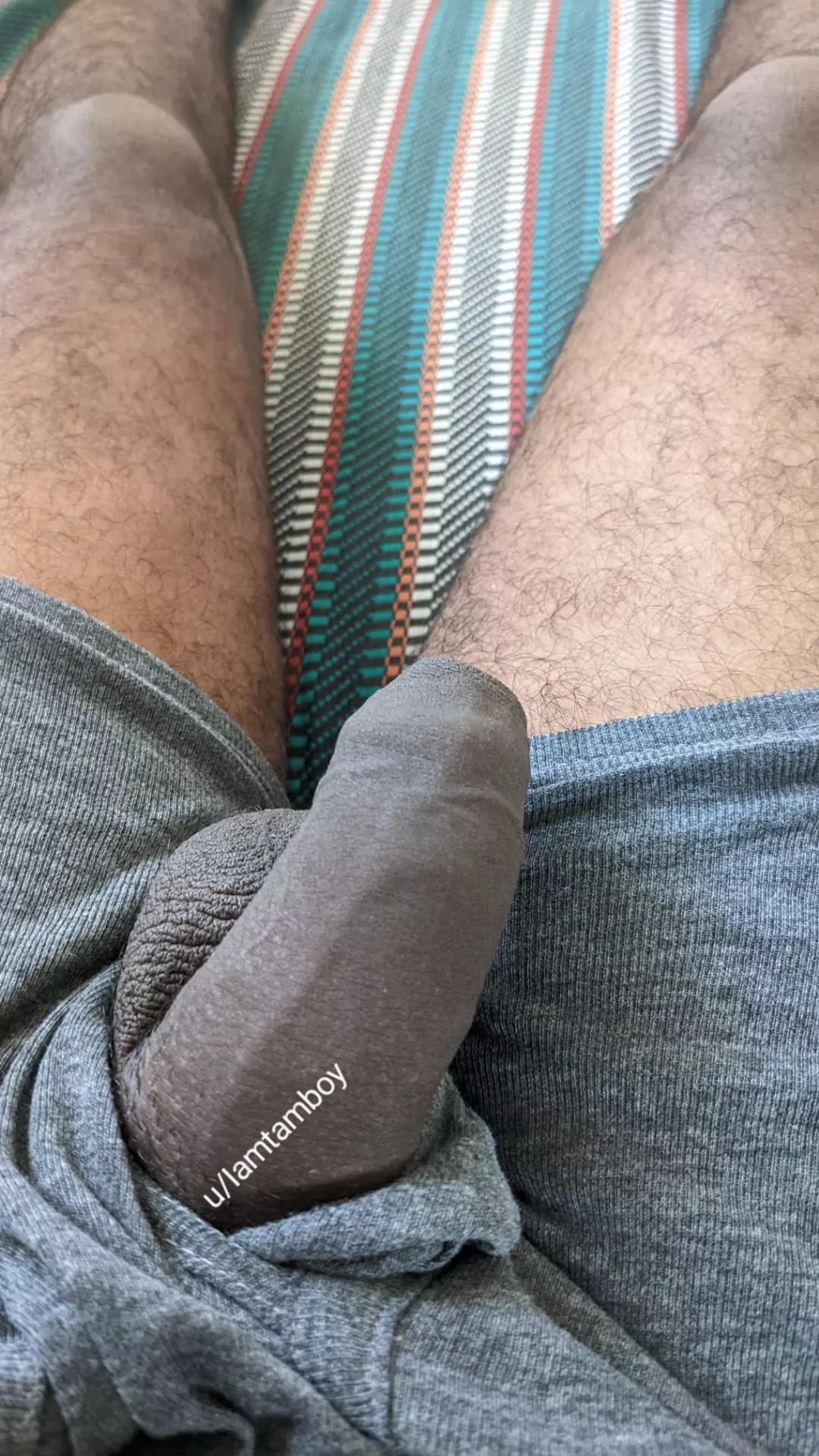 Softy needs your attention posted by Iamtamboy