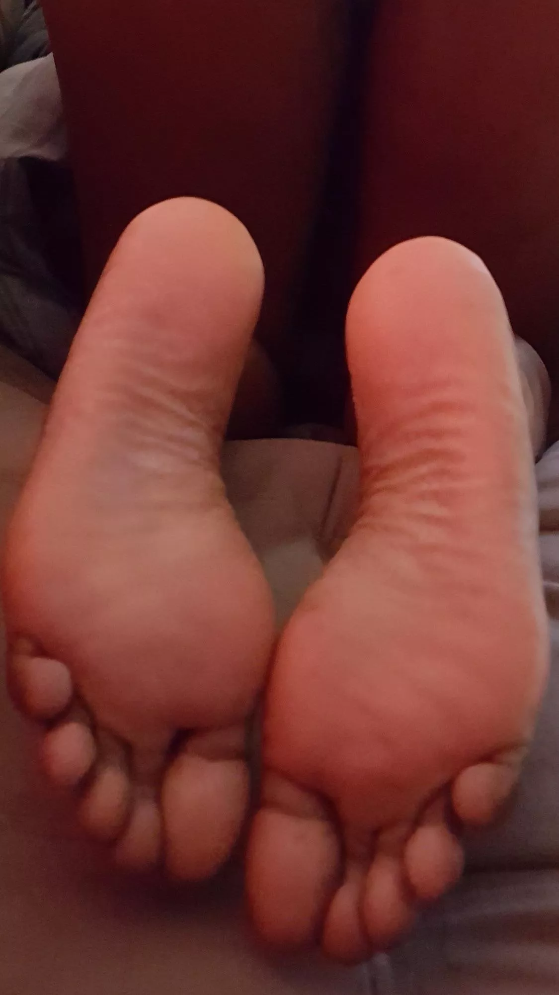 Sole food posted by sgt4430