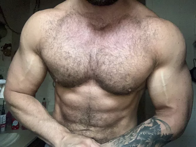 Some brachioradialis definition by npplz