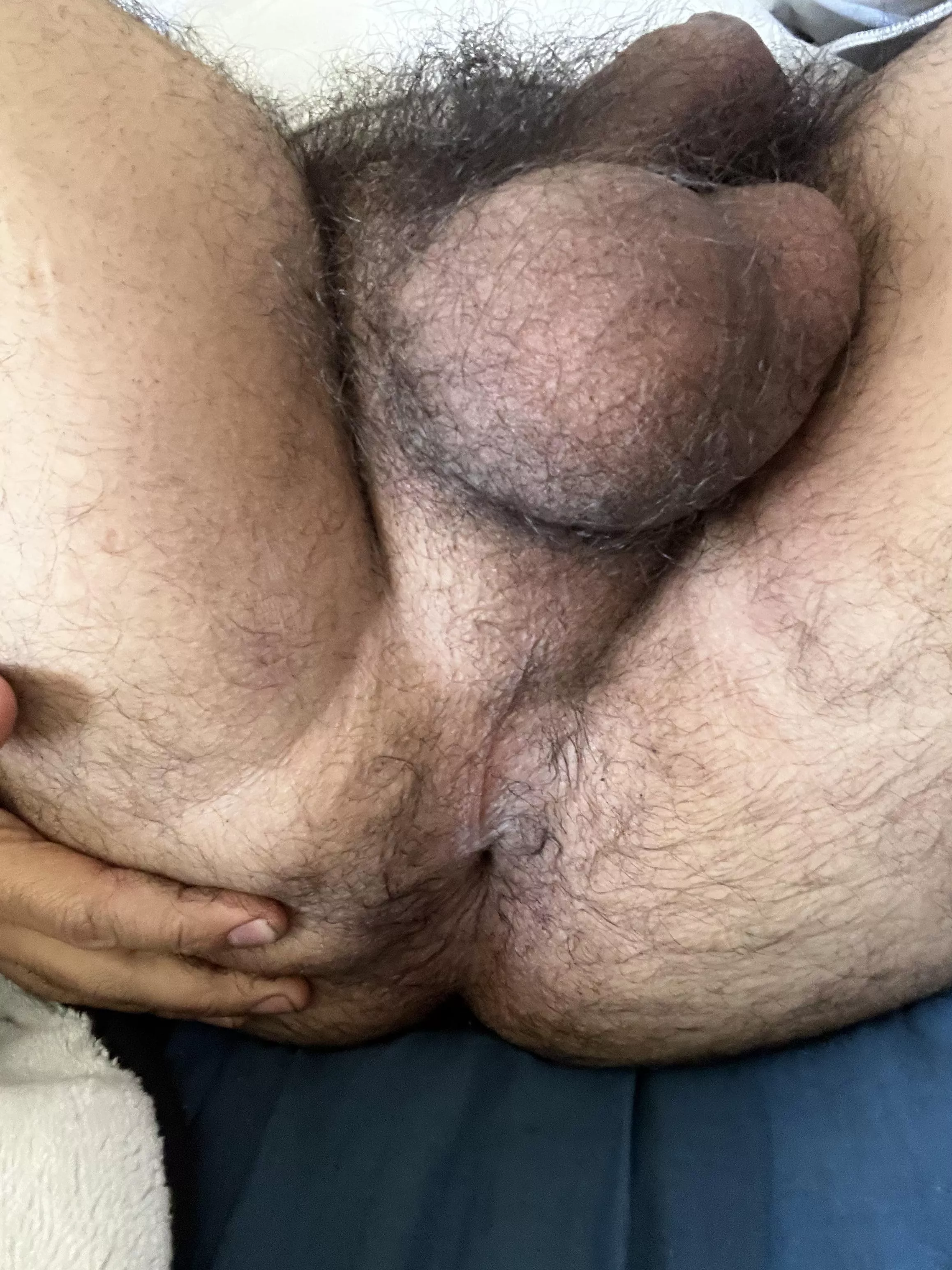 Some close up bush. Hope you like it posted by hairybushguy69