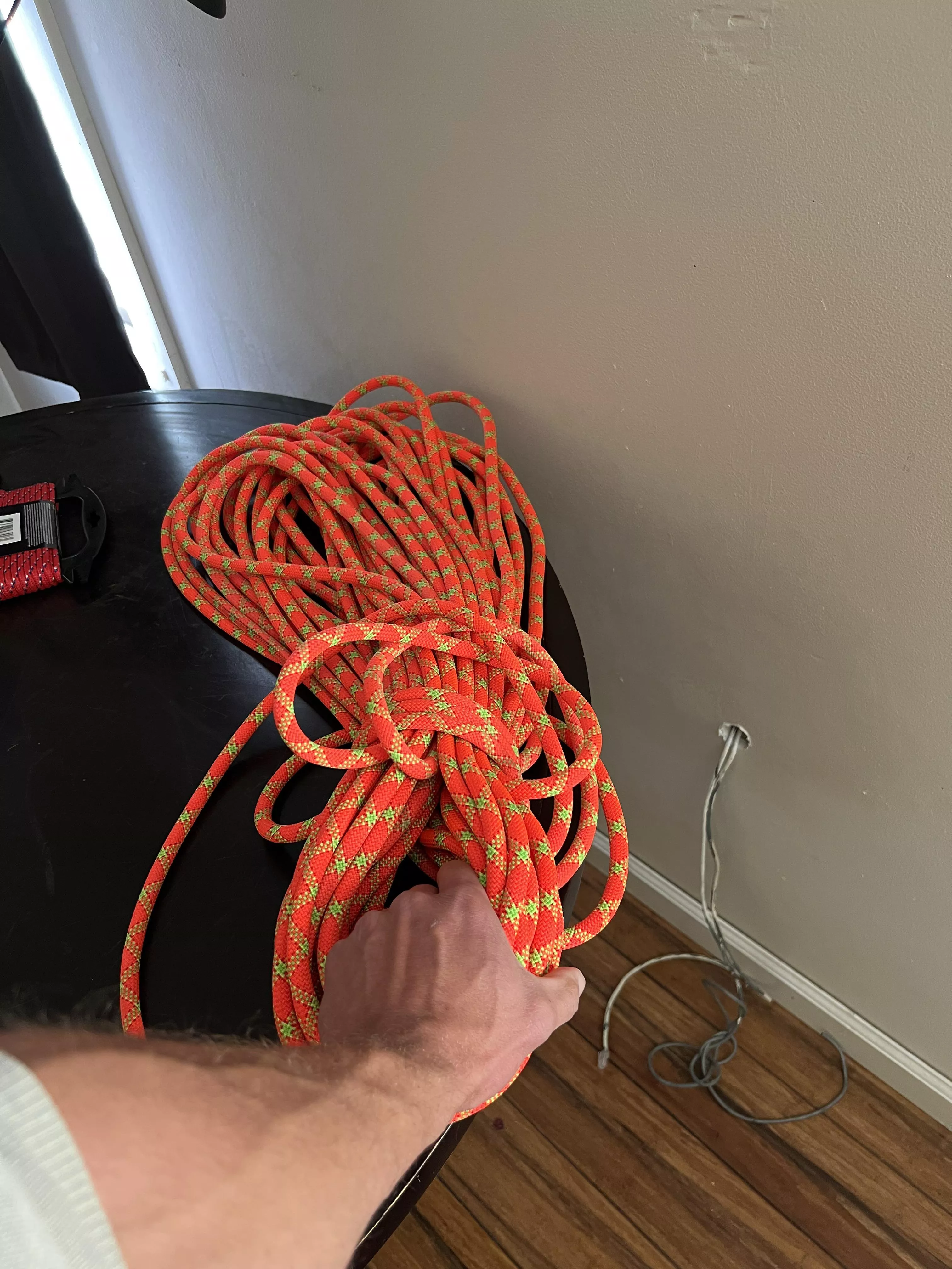 some forearm, some climbing rope posted by Hopeful_War_1539