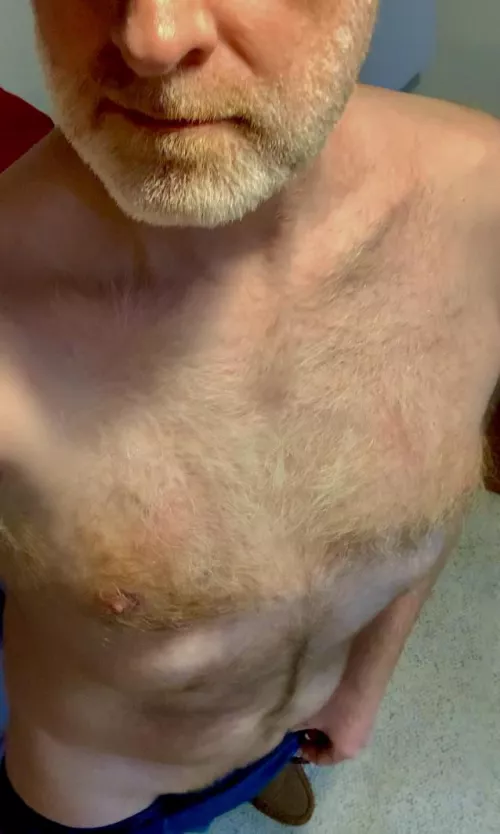 Some ginger fur to contemplate running your hands through. by ZelaznyFan68