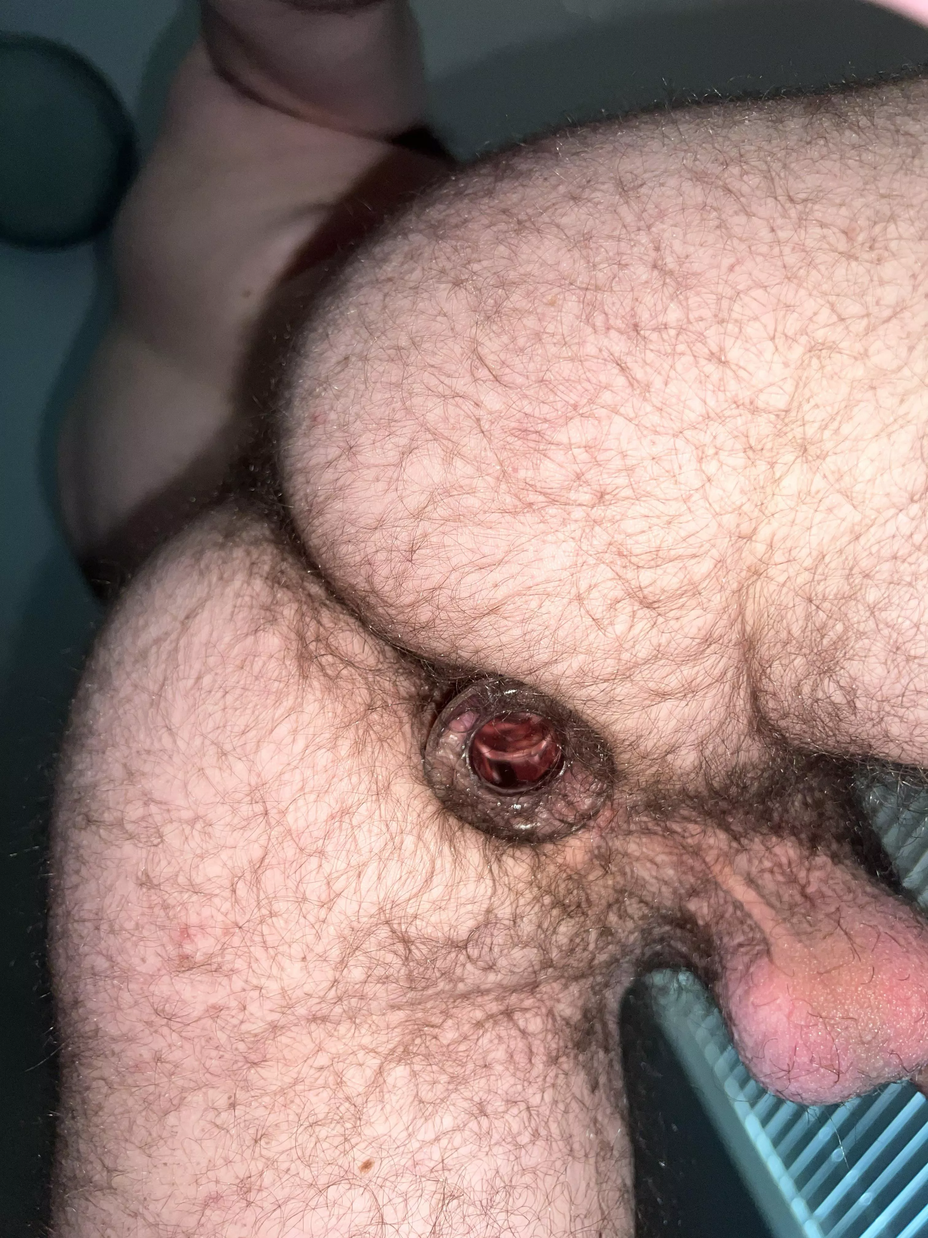 Some hairy hole for the bears of Reddit posted by _ope_