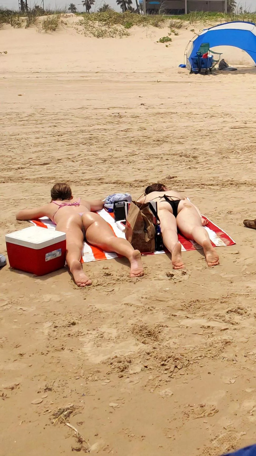 Some hungry little beach butts posted by cherrinips