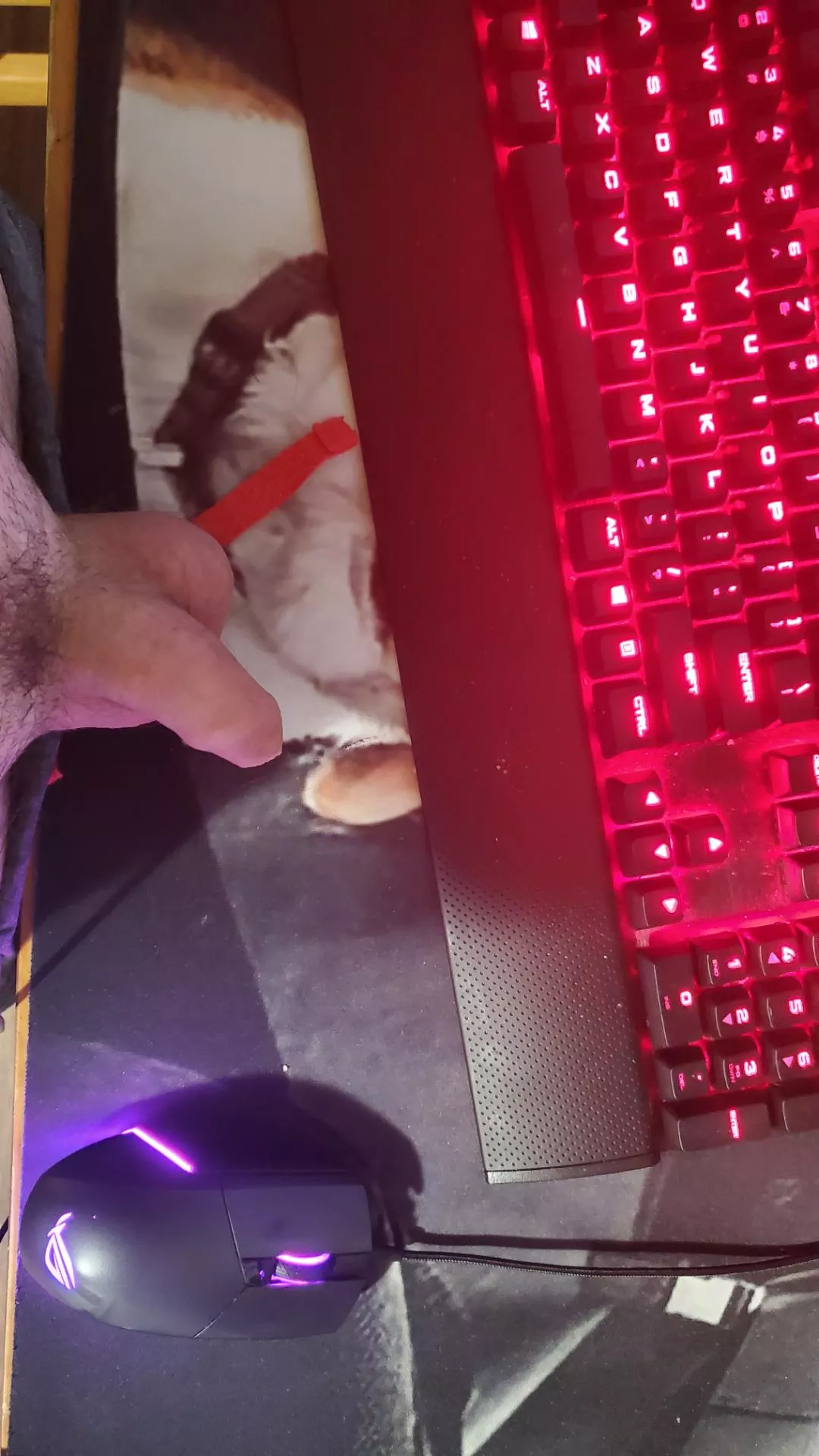 some late-night gaming... posted by basicalybored