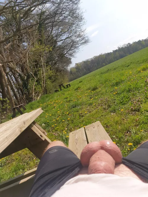 some nature by Saabie01