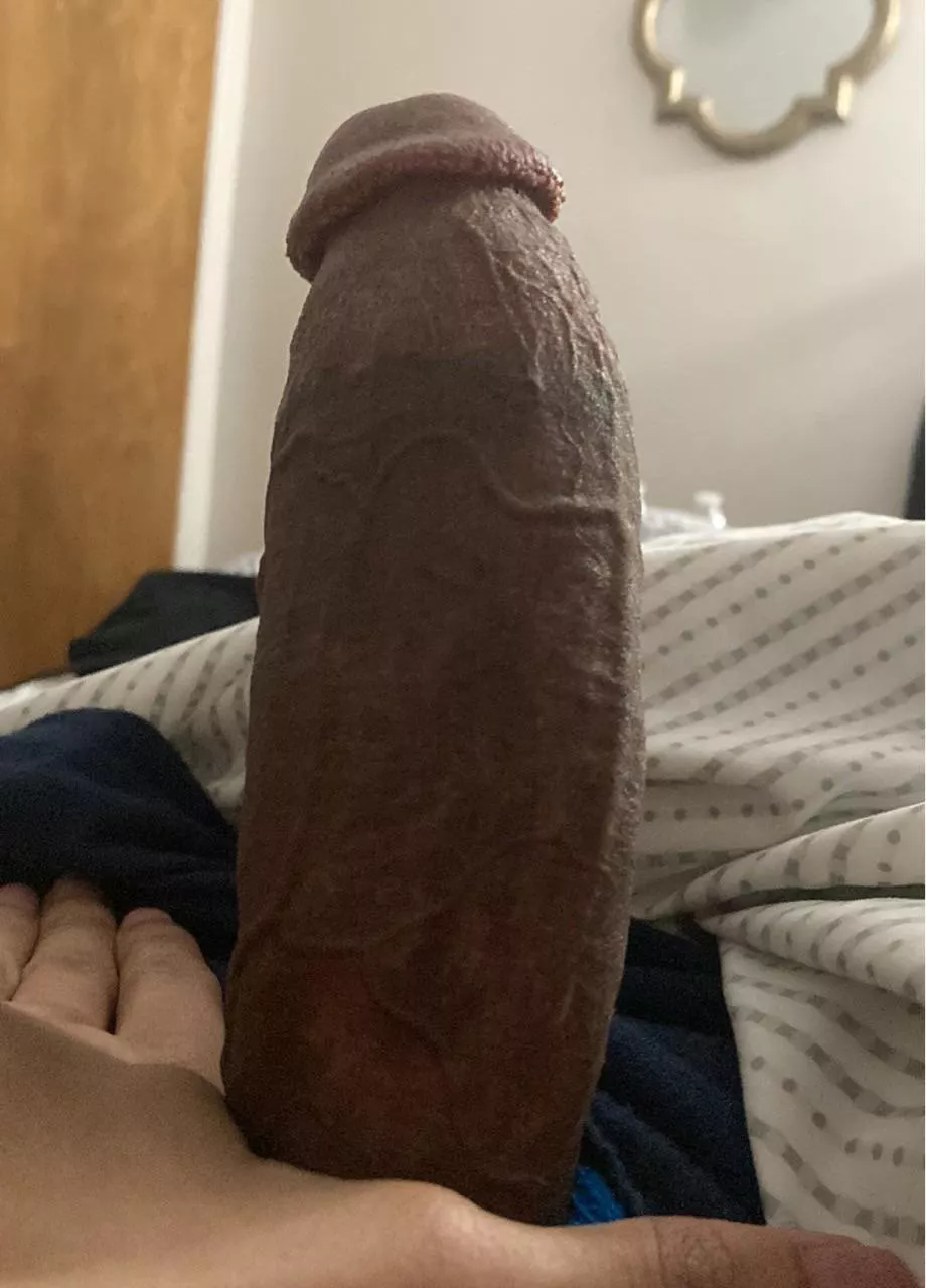 Some thick morning wood posted by SomberStarfall
