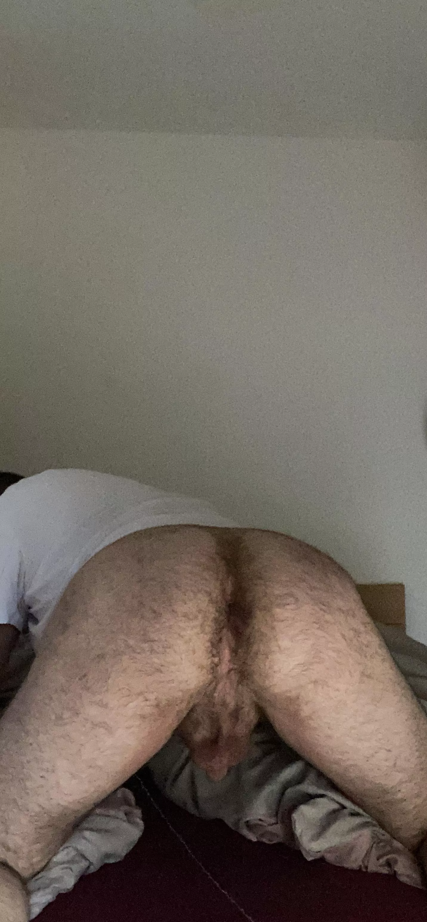 Somebody there who would like to take me doggy? Dm me posted by philthebeck