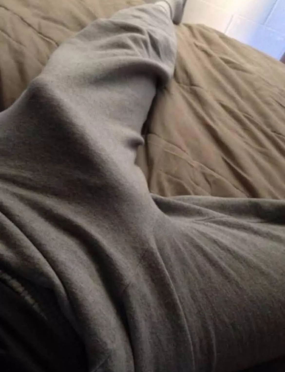 Somebody wants some attention 🍯 posted by New-guy99