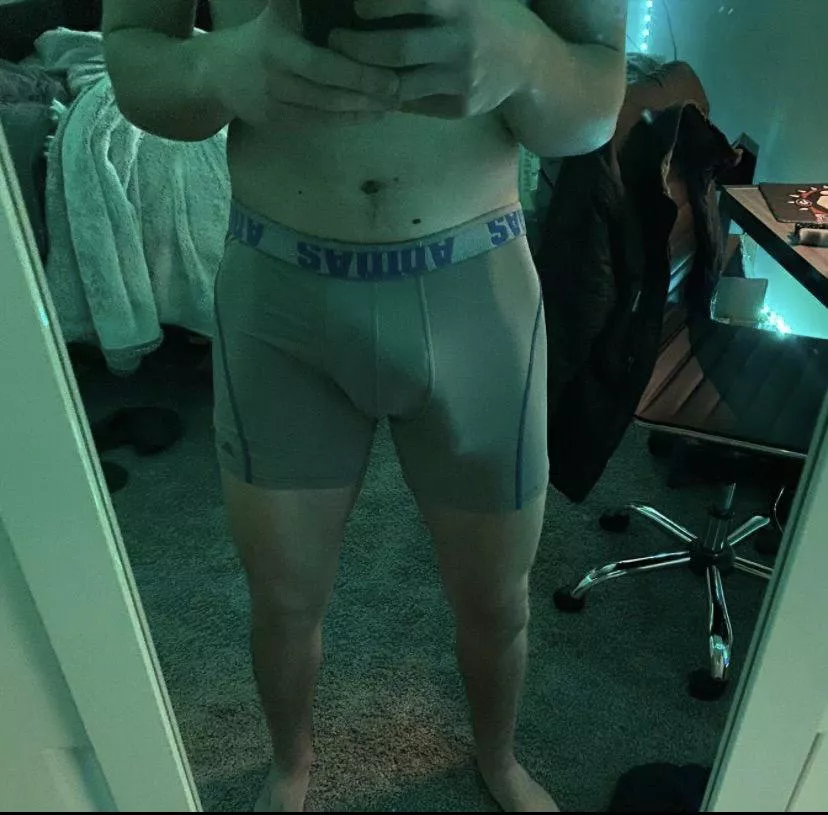 Somebody wants to say hi posted by Expert_Lengthiness58