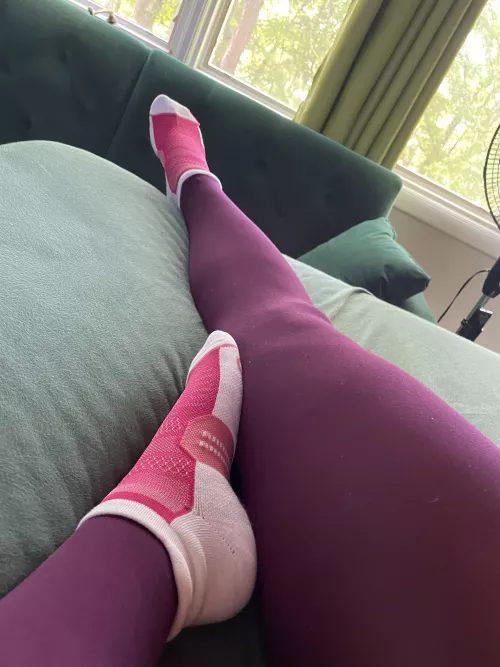 Someone lucky booked these pink gym socks ;) by JennysPerfectPaws