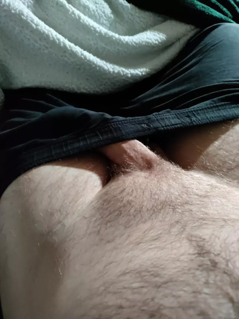 Someone pull this out and rub against me 😍 DMs open! by anonymous_n00dlez
