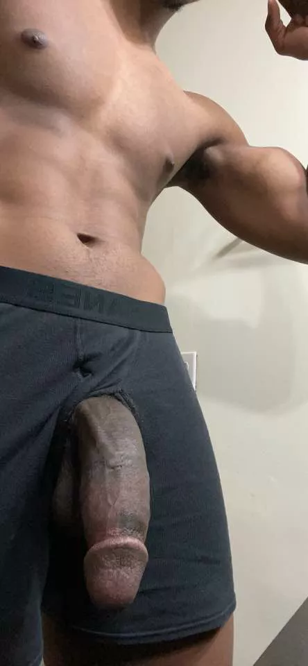 Someone reported my reddit saying I was bullying people w my post is thst so? (My dick when it's soft) posted by nonepunchman69