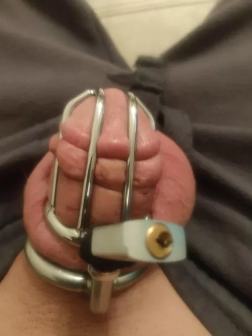 someone said my cage is to big my wife thinks it's perfect, what do you guys think? by shitsandgigssss